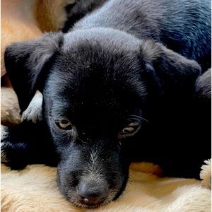 My mom says it’s time for a big sale. So be watching out for listings